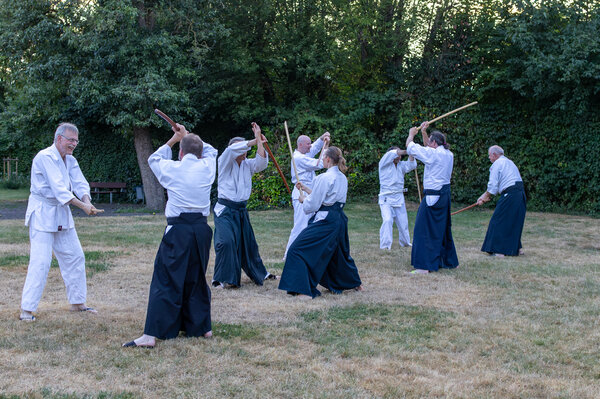 Trainingsgruppe übt Aikido mit Holzschwertern auf einer Wiese im Freien.
